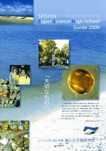 2006SSHpamphlet.jpg