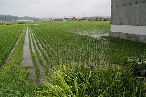 2007-IMG_3620.jpg