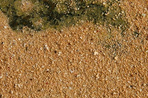 2008-IMG_1216.jpg