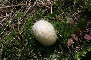 2008-IMG_7080.jpg