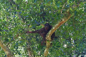 2008-IMG_8109.jpg