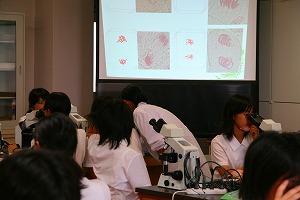2008-IMG_8560.jpg