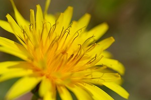 2010-IMG_1545.jpg