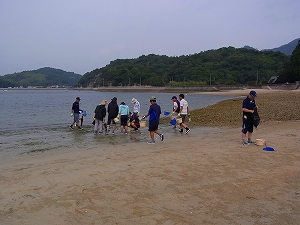 2010-R0011245.jpg