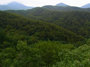2010-R0011912.jpg