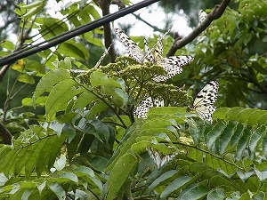2010s-R0010527.jpg