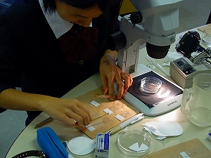 2011-R0012248-1.jpg