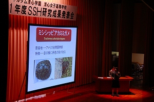 2011s-IMG_0071.jpg