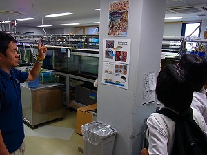 2011s-R0015637.jpg