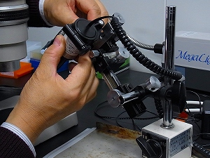 2011s-R0015988.jpg