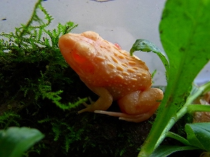 2011s-R0017030.jpg