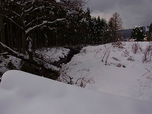 2011s-R0017340.jpg