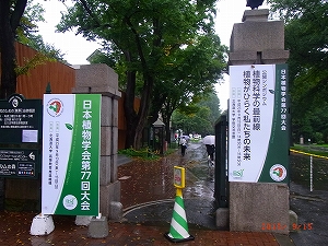 2012s-130915a.jpg