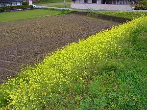 2012s-R0010011.jpg