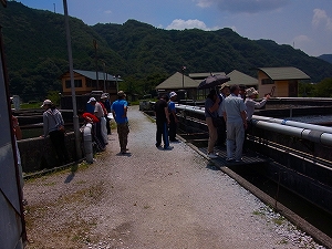 2012s-R0012046.jpg