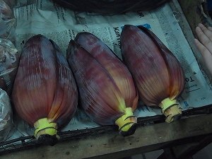 2012s-R0017941.jpg