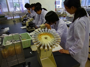 2013-生命科学基礎.jpg