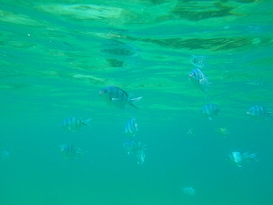 2013-2013-IMGP0090.jpg