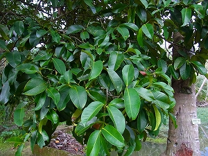 2013-R0017899.jpg