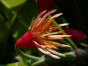 2014-R0012754.jpg