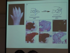 生命科学基礎　「命の普遍性と再生」 　佐藤伸先生（岡山大学）