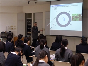 「時間を知る生物」　富岡憲治先生（岡山大学）