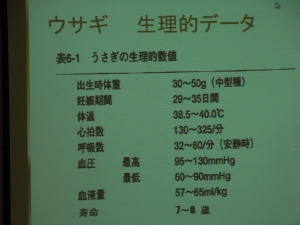 授業「生命」第27回　やまね動物病院　山根辰朗先生