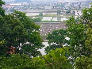 学校周辺の水田で田植え