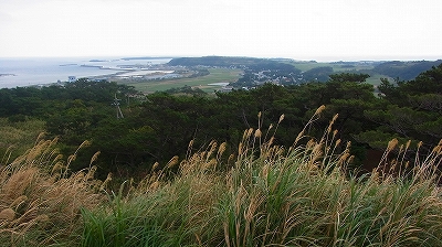 地球環境問題を考えるための久米島・座間味島研修