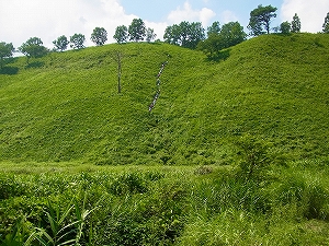 蒜山森林実習　4日目　午前