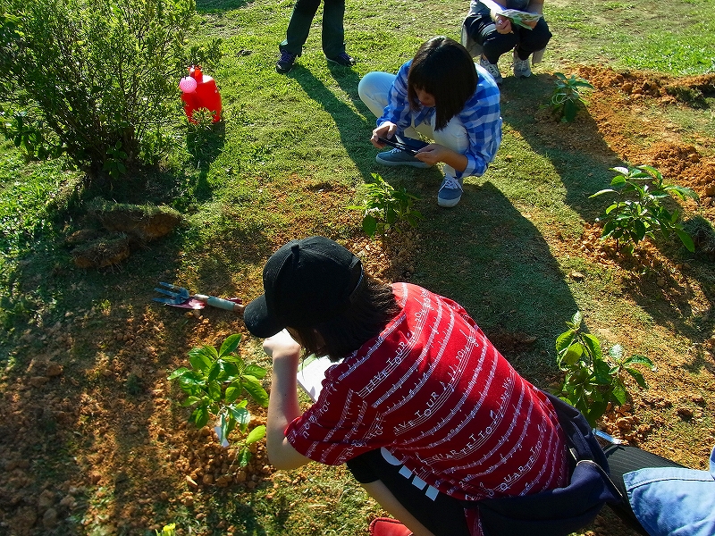 ツン・フセイン・オン大学の構内で樹木の苗を植えました。