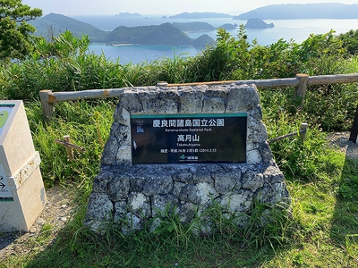 2019-photo 182.jpg