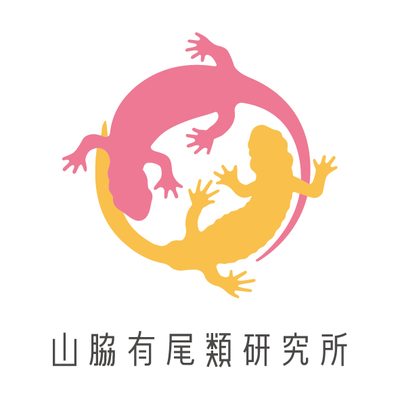 yubiruikenkyujyo_logo_mark&type_colour_A.jpg