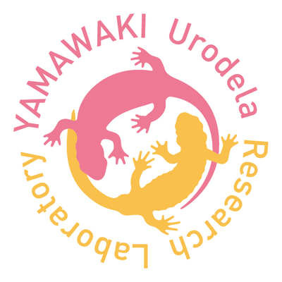 yubiruikenkyujyo_logo_mark_colour_B.jpg