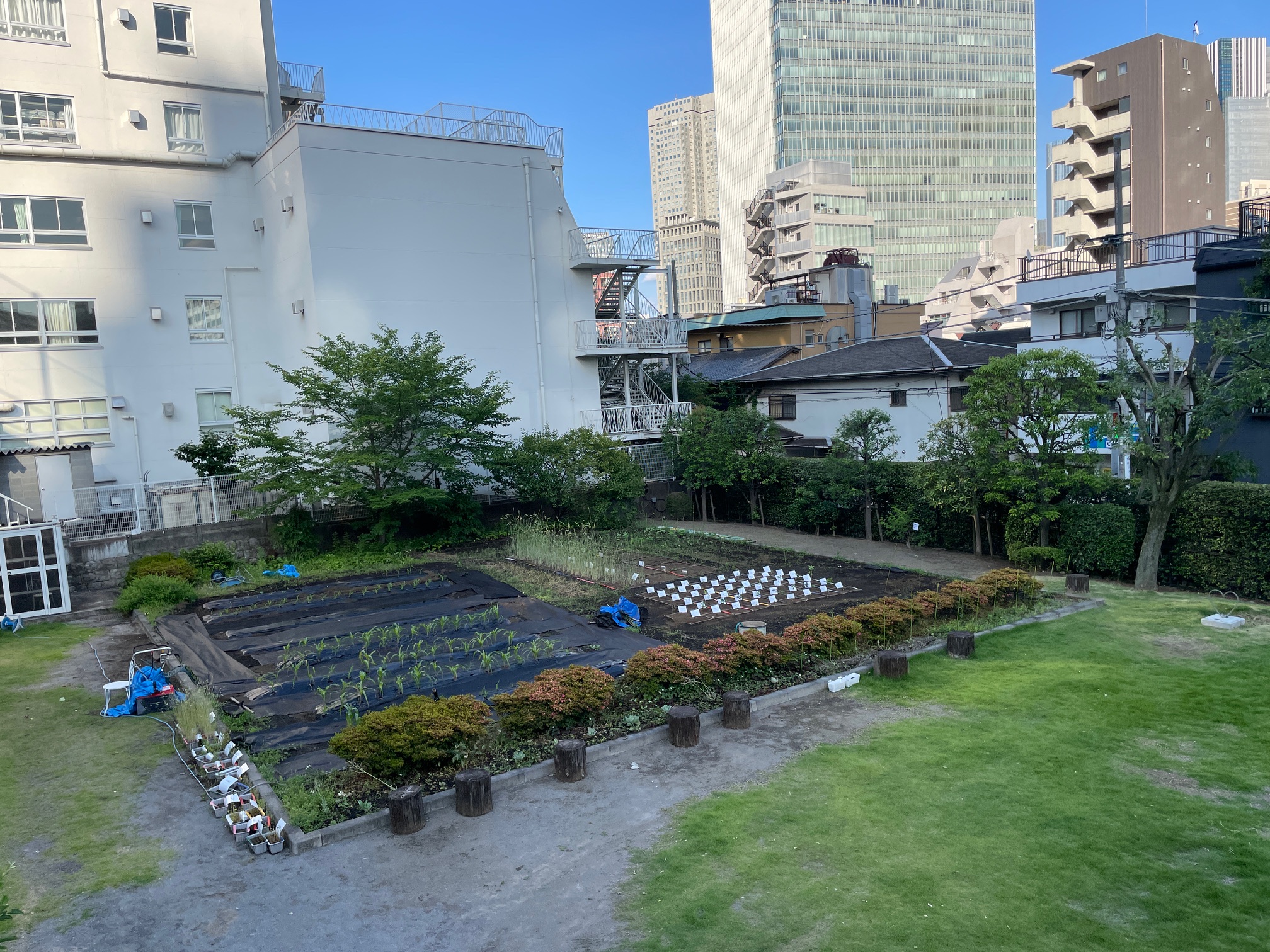山脇学園　第1回SSH運営指導委員会