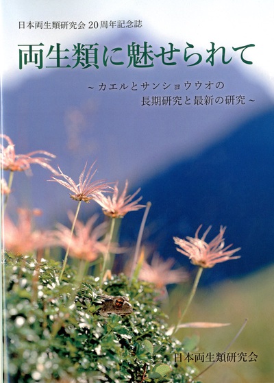 img086_800.jpg