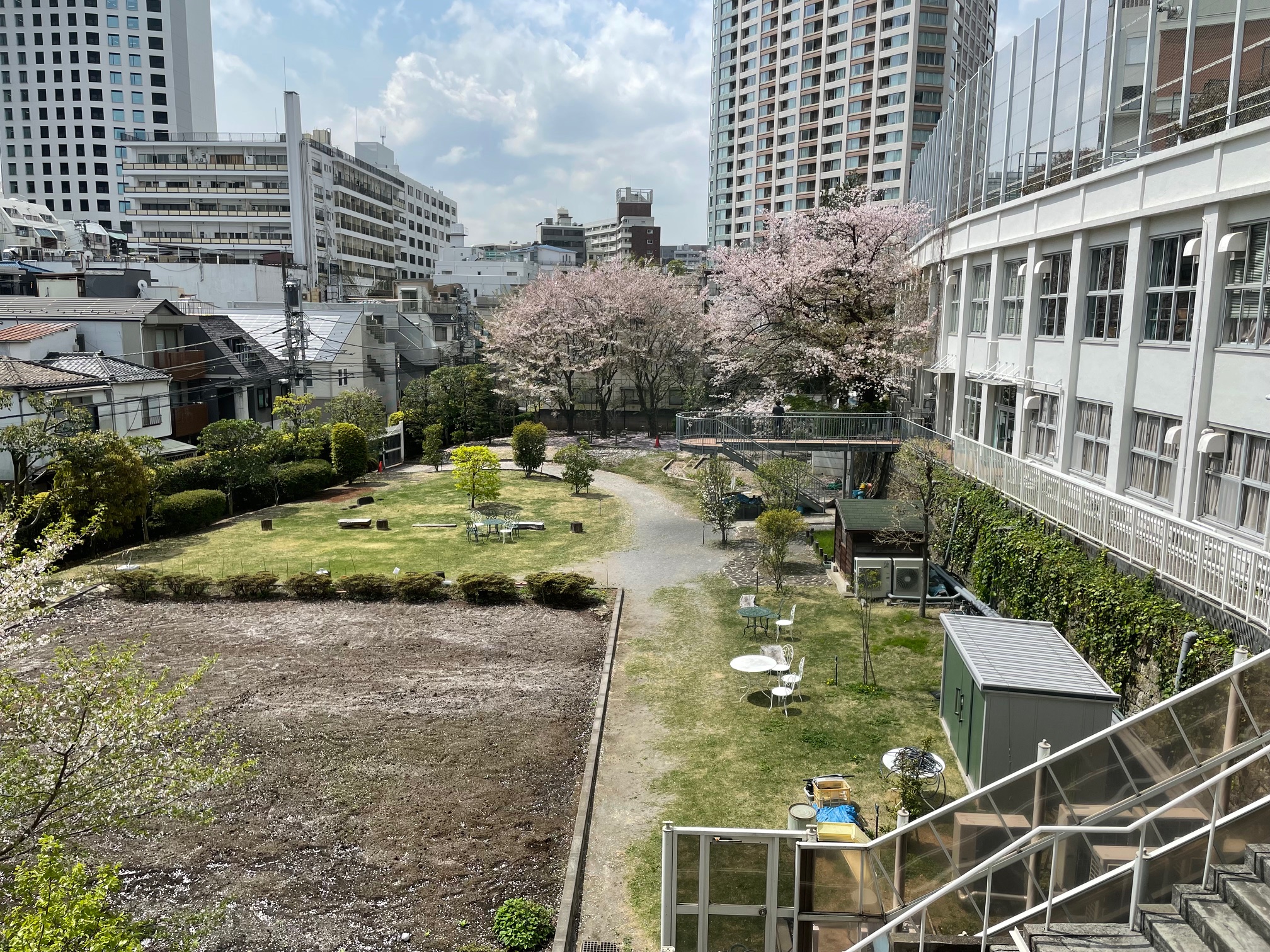 2025年度　山脇有尾類研究所事業計画