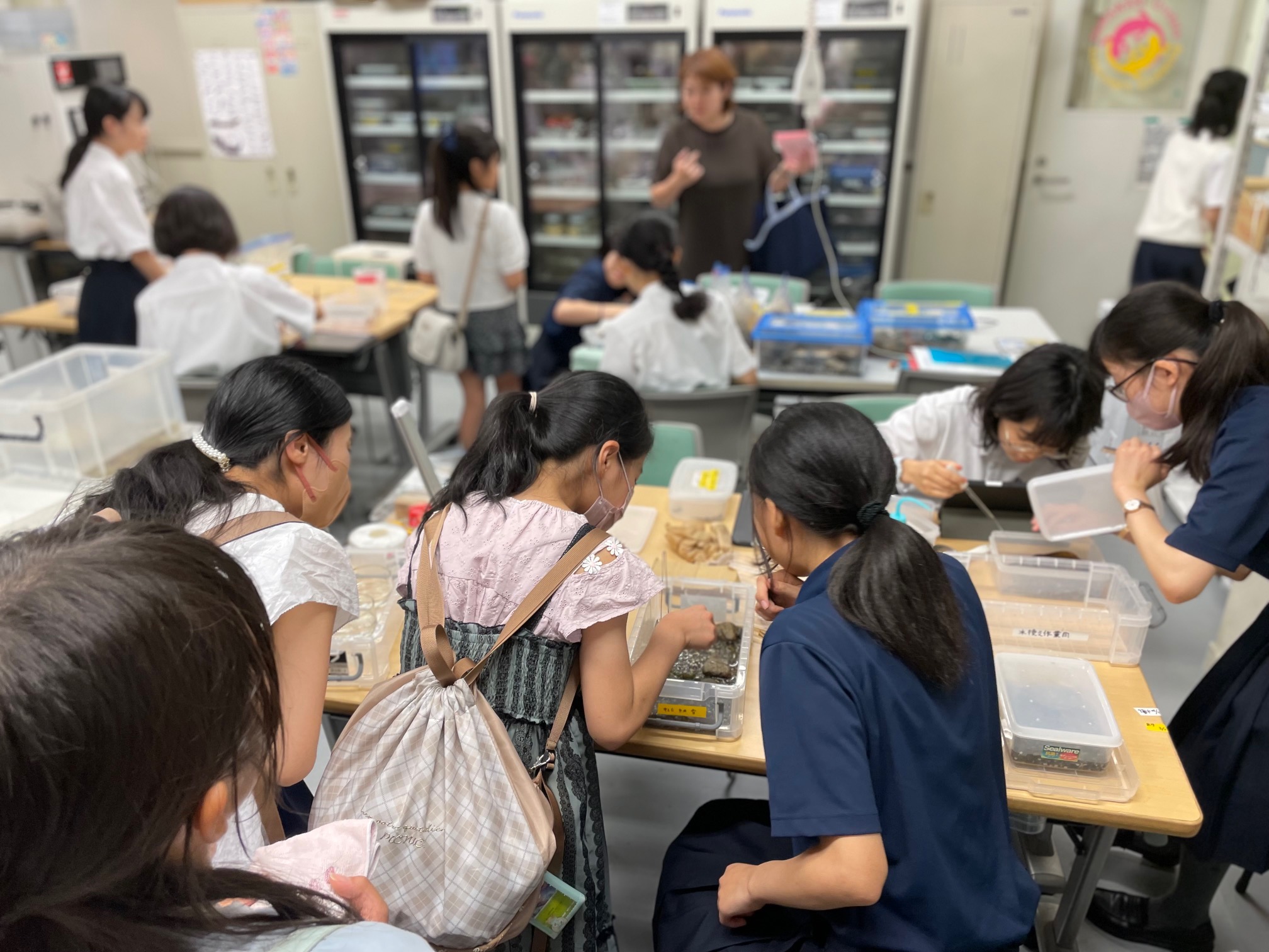 オープンスクールで小学生に有尾研を紹介