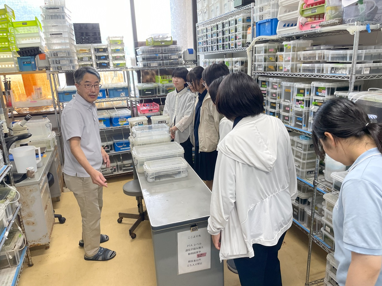 「蒜山の森」鳥取大学連携の環境学習交流会　３日目