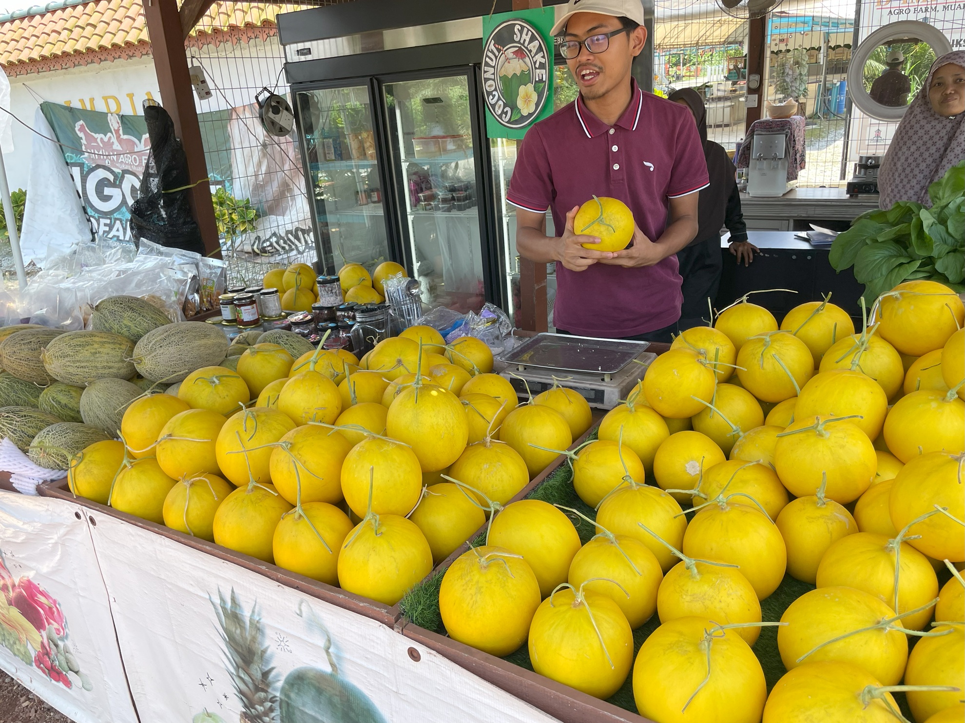 DIMPIAN AGRO  FARM で農畜産体験