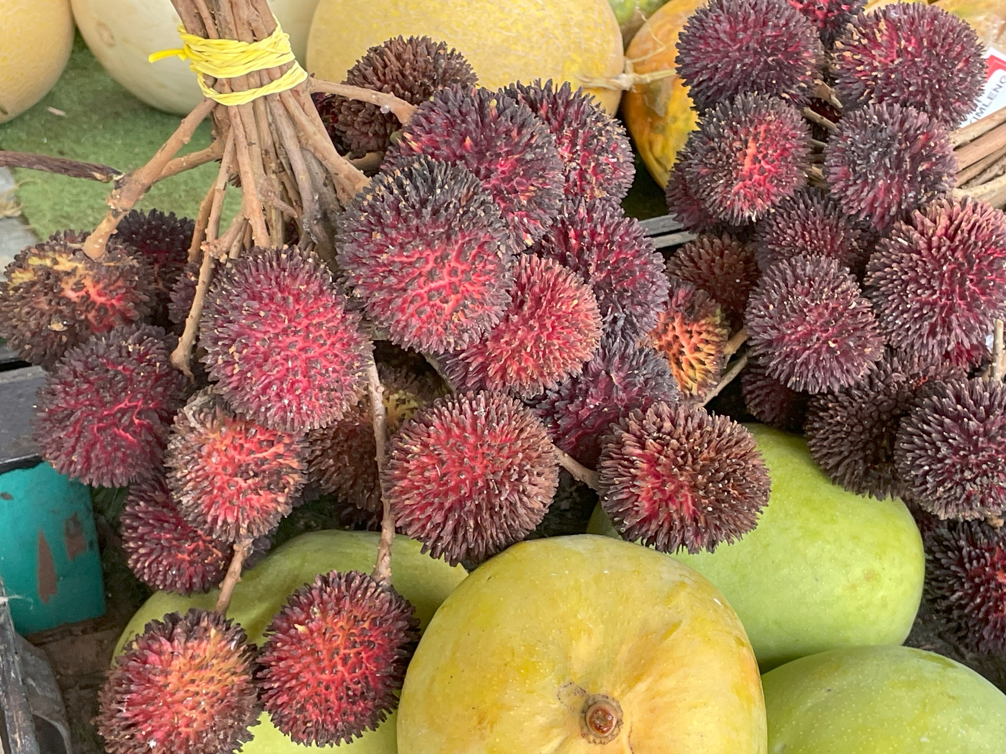 道路脇の売店で見つけたマレーシアの果物