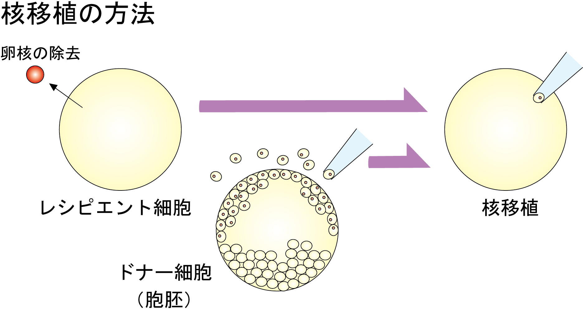 中谷財団科学教育振興助成（２年目の実施計画）