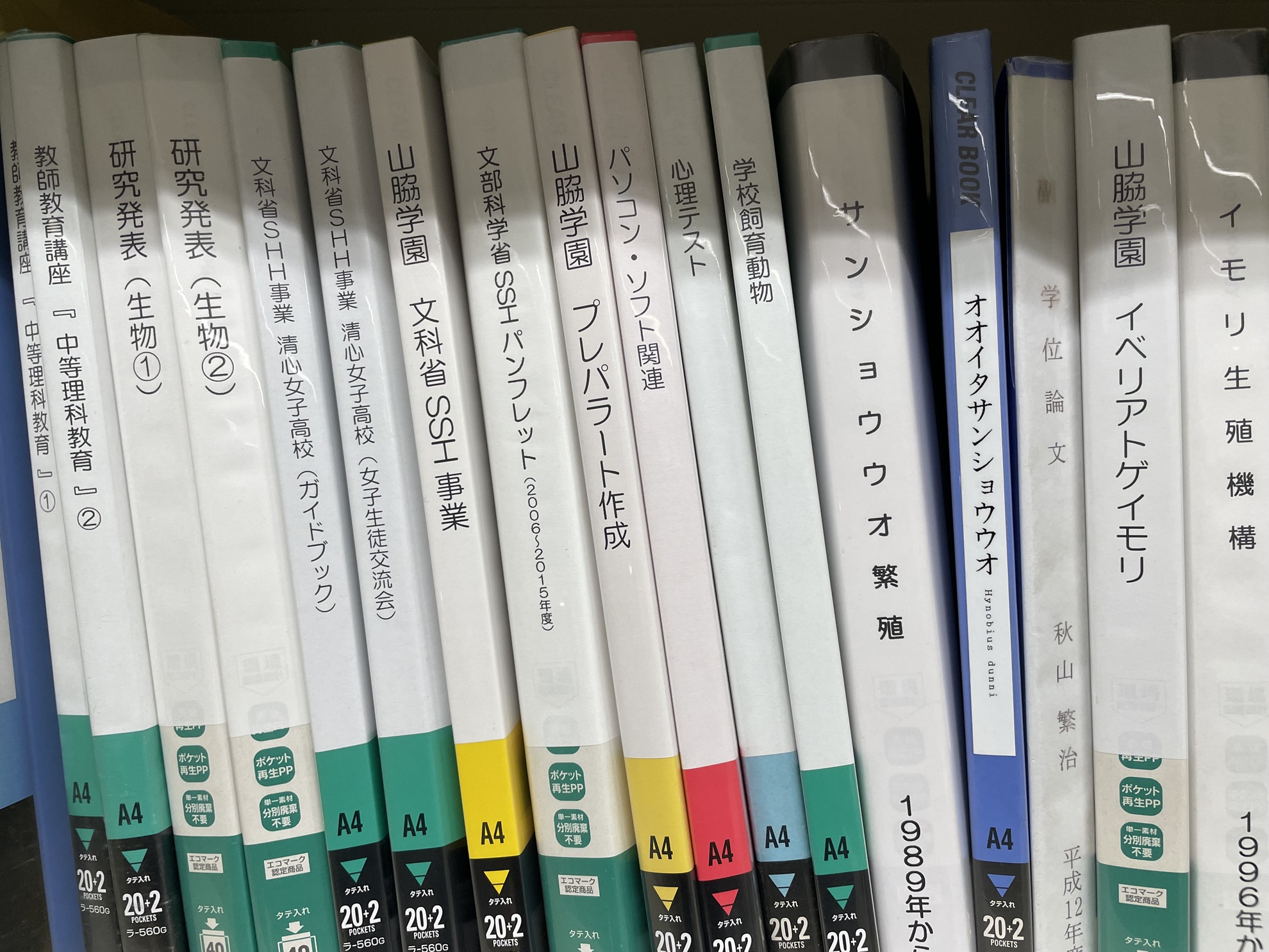 学校法人山脇学園動物実験規程（2024年4月1日から施行）