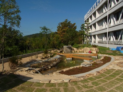 s-RIMG0337.jpg