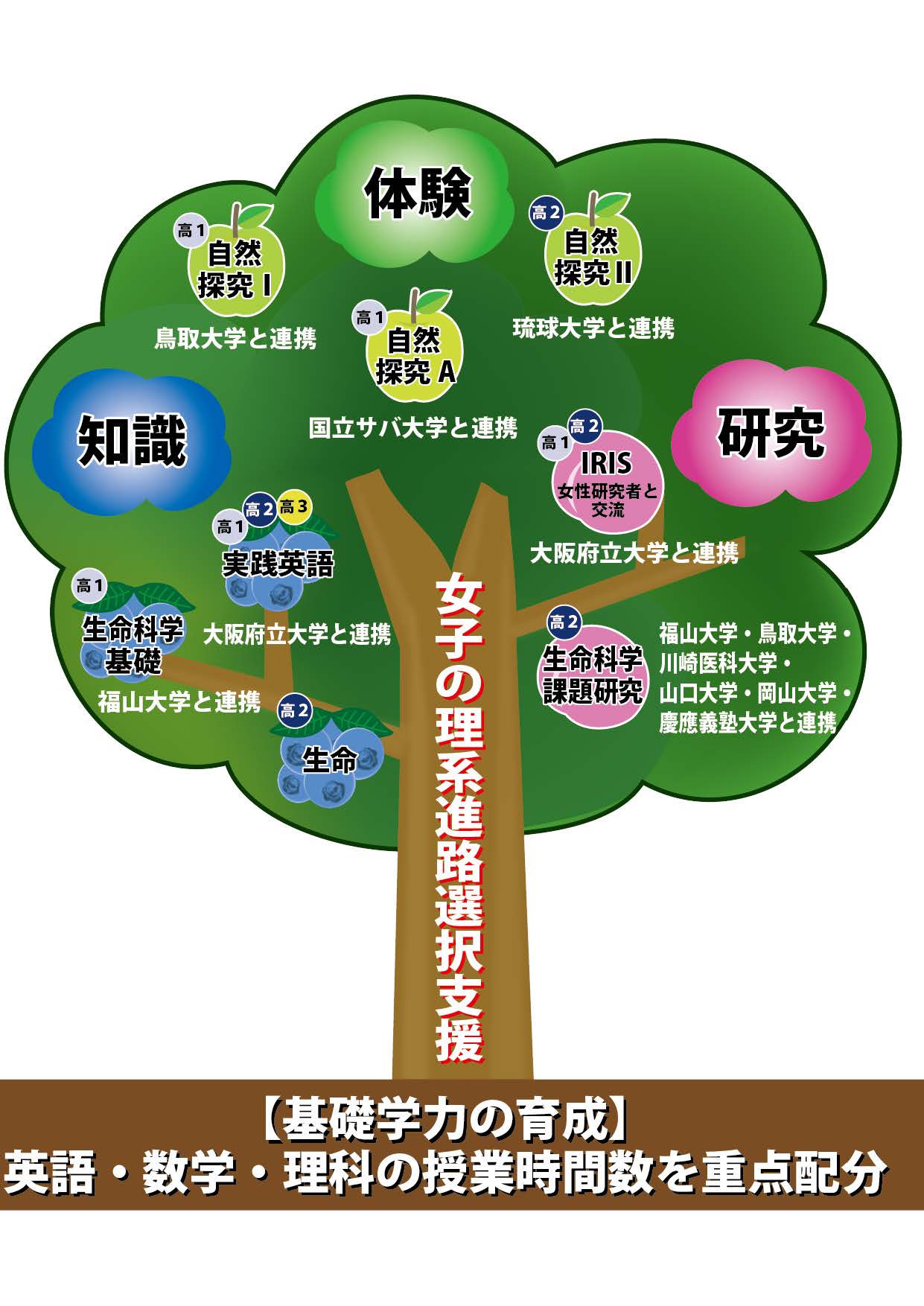 2027年度共学化する女子校が10年前にSSH指定で何を目指していたか。