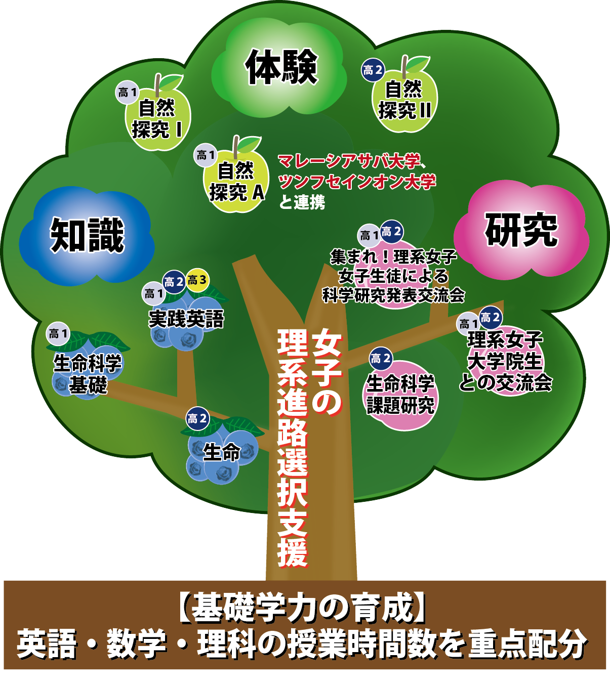 SSHと生命科学コースの歩み【連載】第１回
