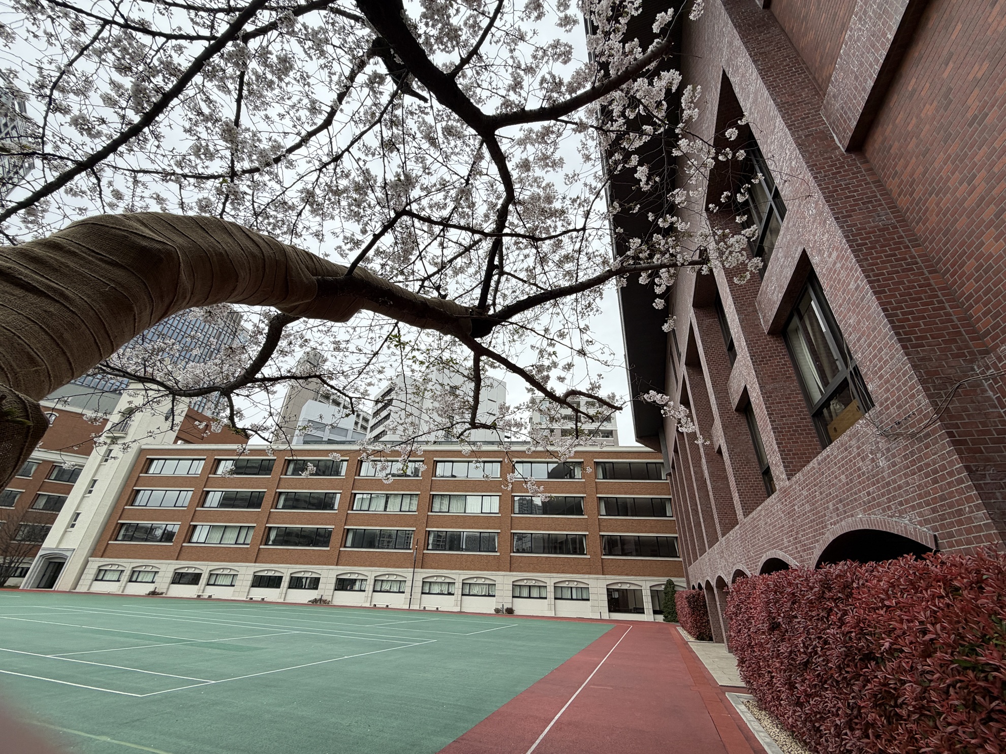 「高度経済成長の熱気」と共に育ち、成熟社会への転換点で社会へ出た世代