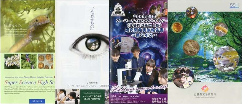 『有尾類研究所という思想』の内容と目次