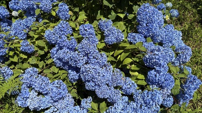 IMG_E1585_1280.jpg