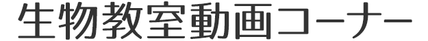 生物教室動画コーナー